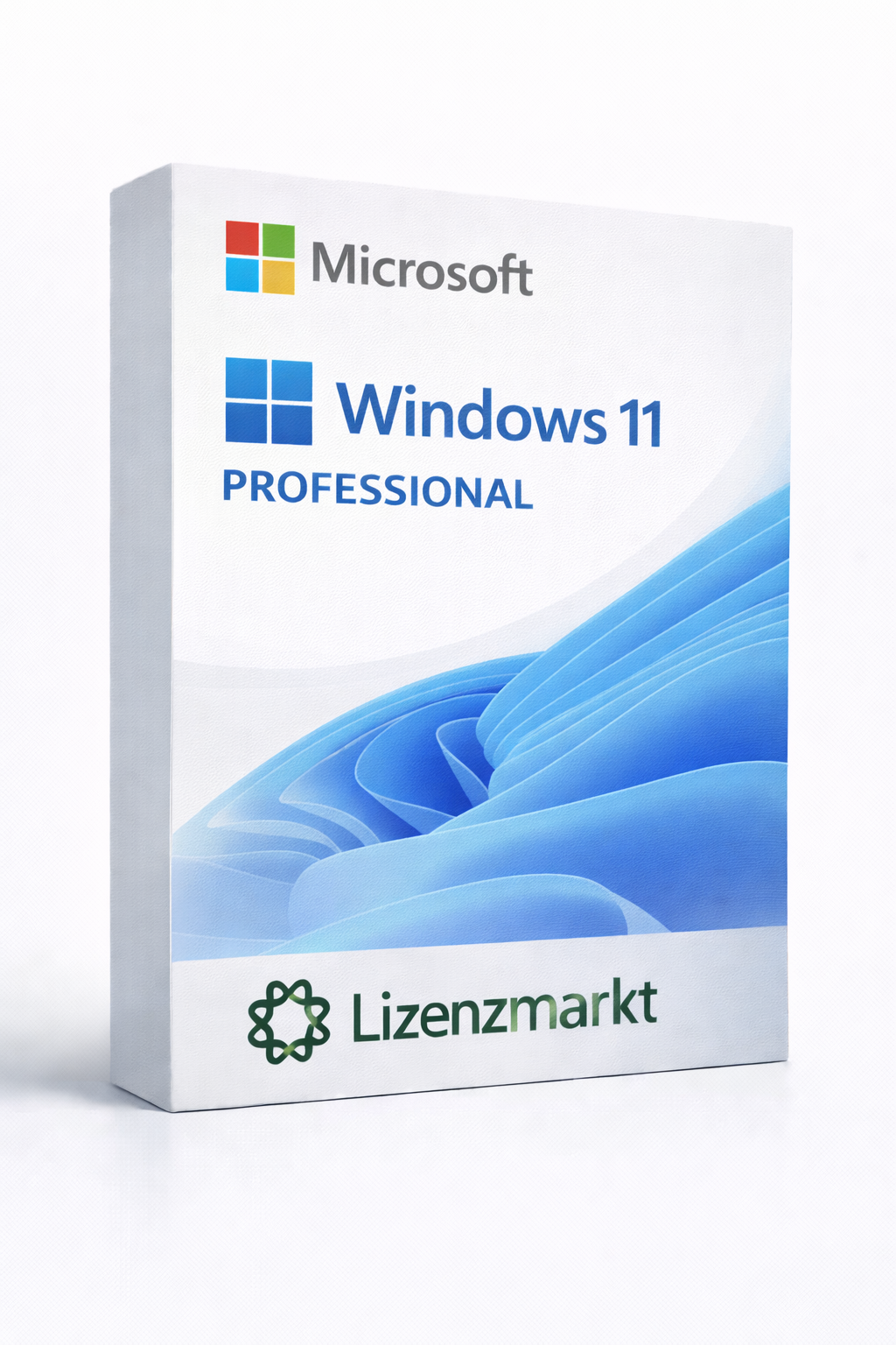 Windows 11 Professional