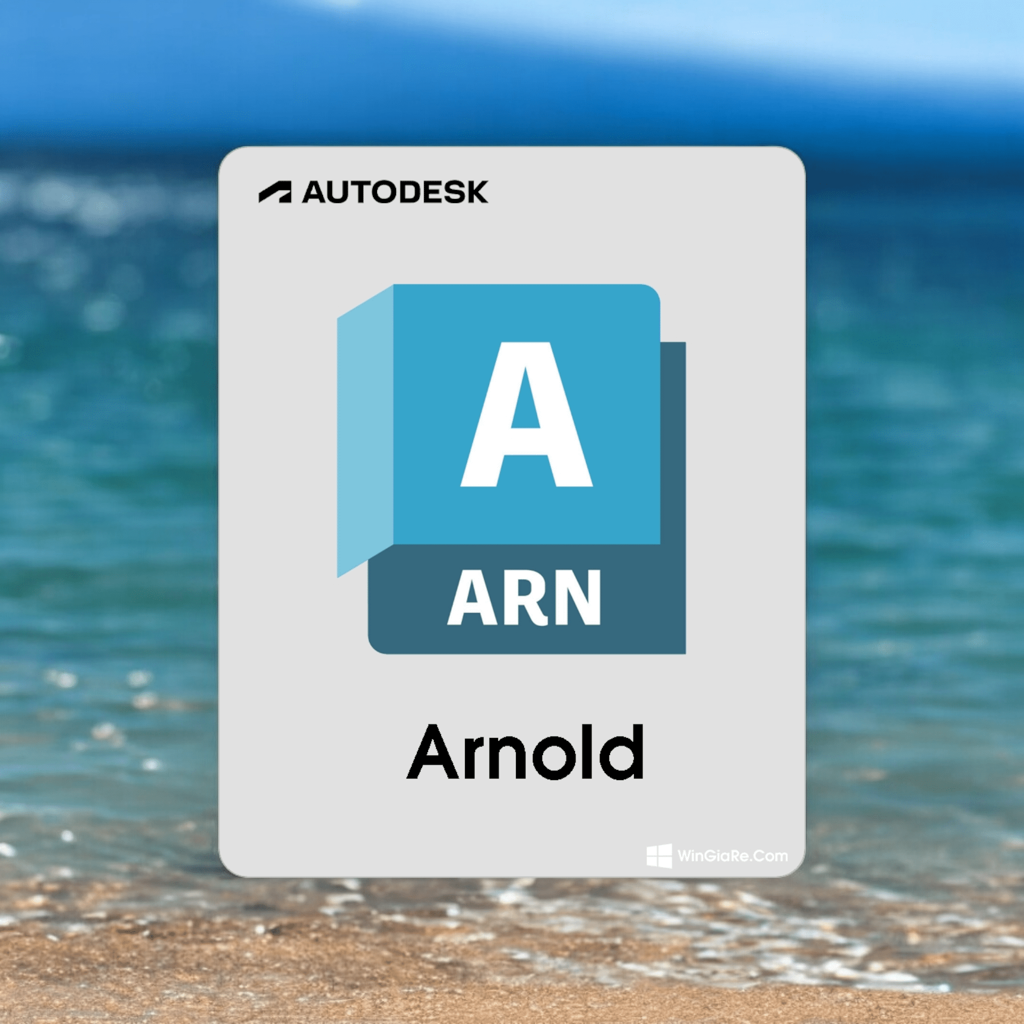 Autodesk Arnold 2025 software logo on a beach background.