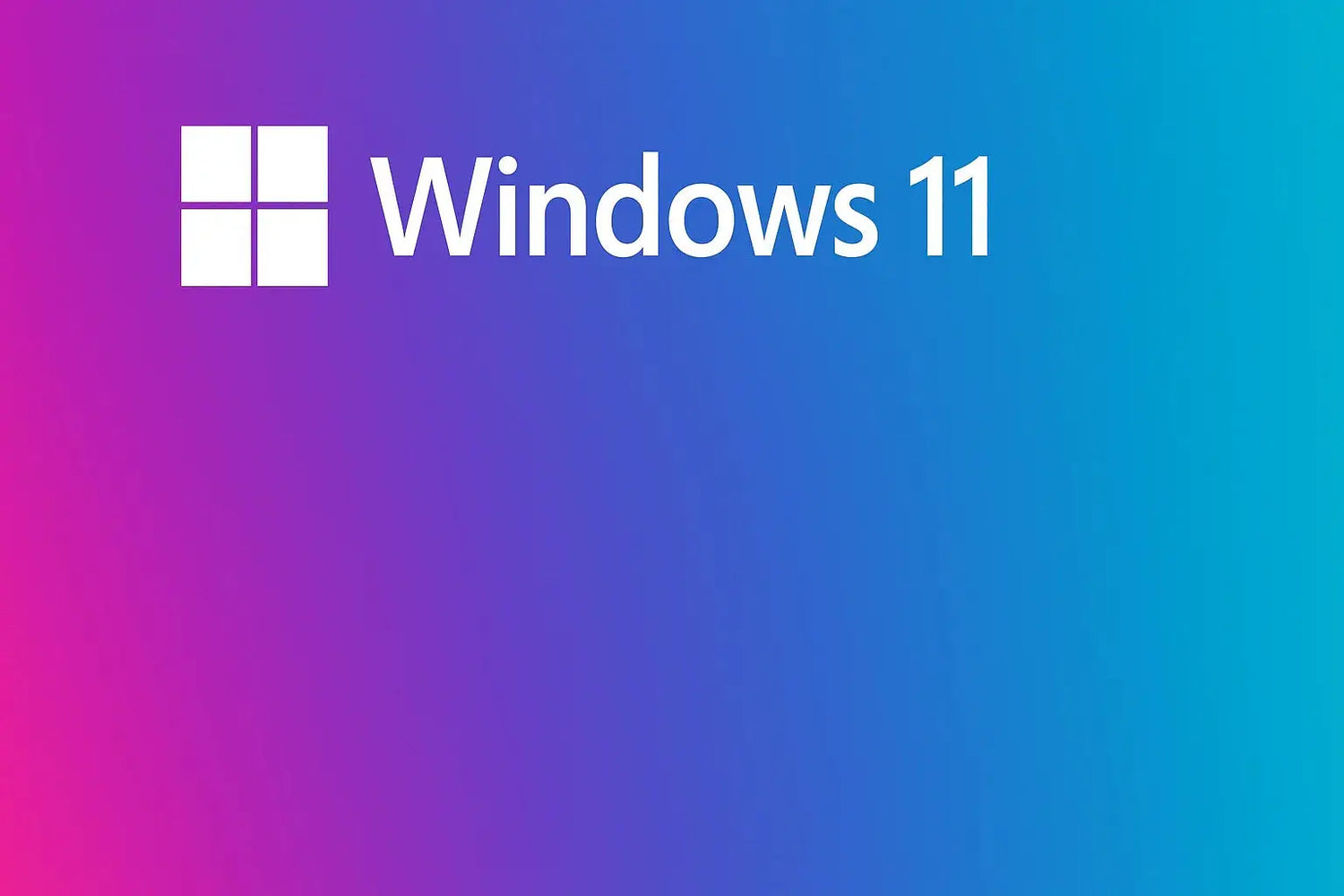 Windows 11