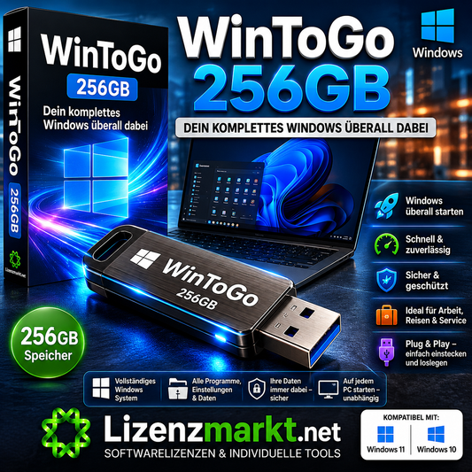 WinToGo 256GB – Dein komplettes Windows überall dabei