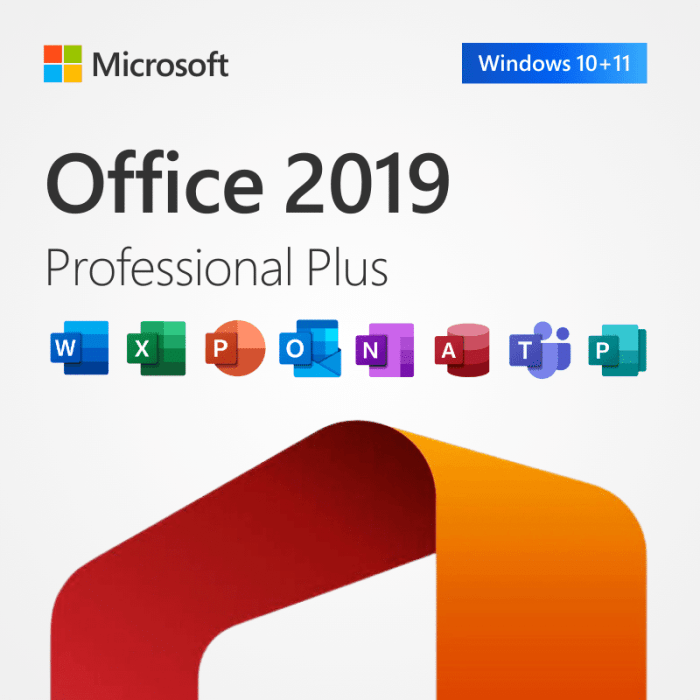 Office 2019 Professional Plus - Lizenzmarkt