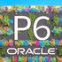 Oracle Primavera P6 Professional - LizenzmarktProjektmanagement & Unternehmensplanung